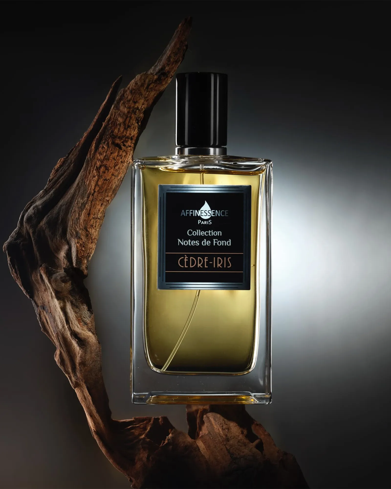 Cèdre Iris
