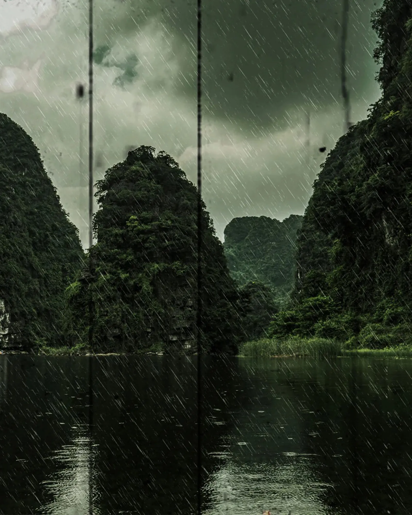 Pluie sur Ha Long - Muchachos | Parfumerie de Niche & Parfums Rares - Sélection Exclusive