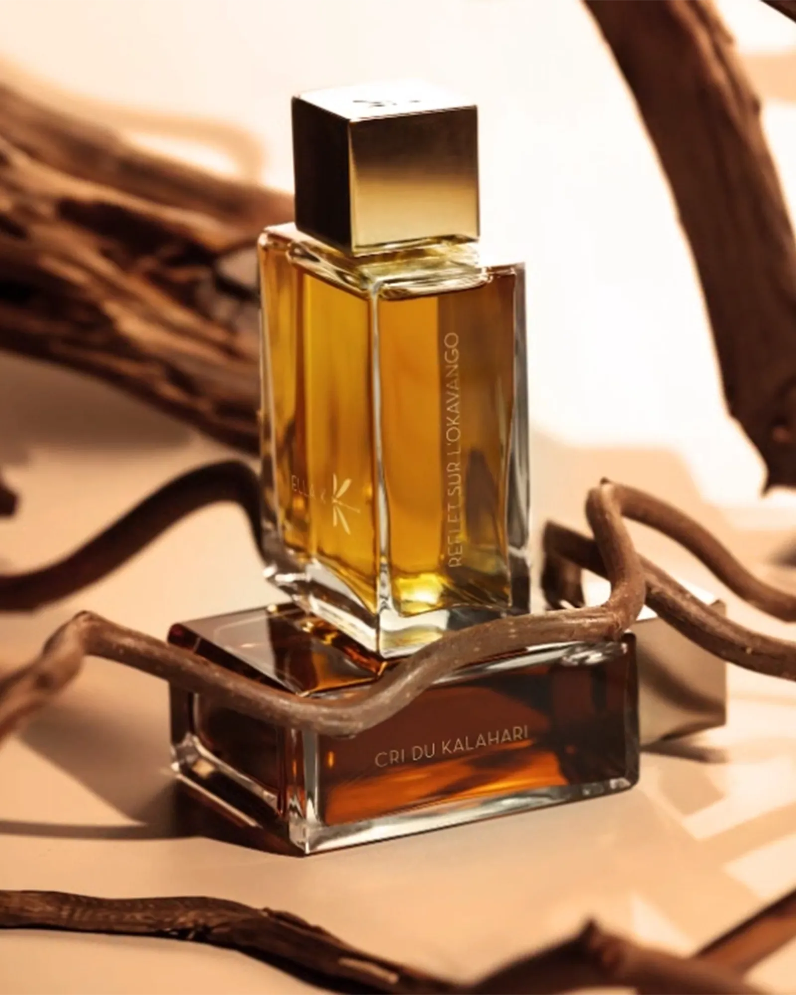 Reflet sur L’Okavango