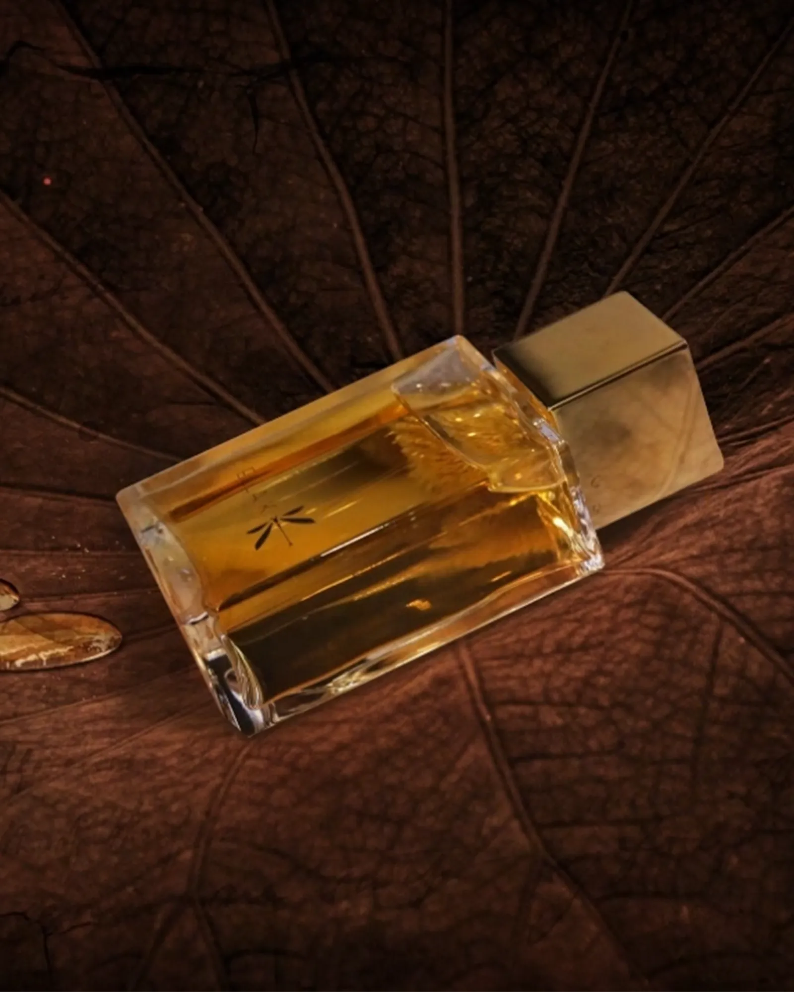 Reflet sur L’Okavango - Muchachos | Parfumerie de Niche & Parfums Rares - Sélection Exclusive