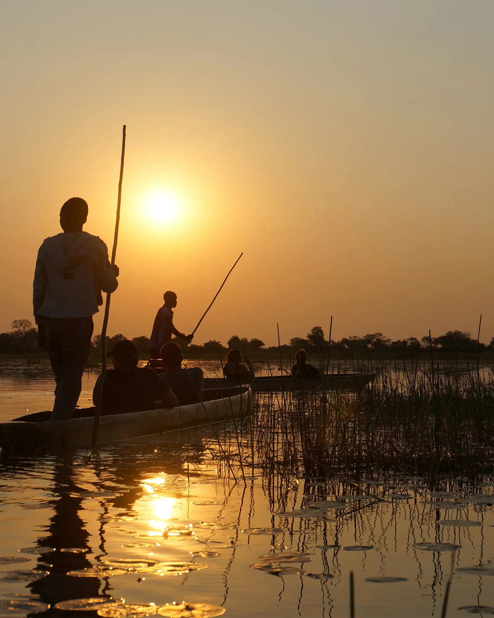 Reflet sur L’Okavango - Muchachos | Parfumerie de Niche & Parfums Rares - Sélection Exclusive