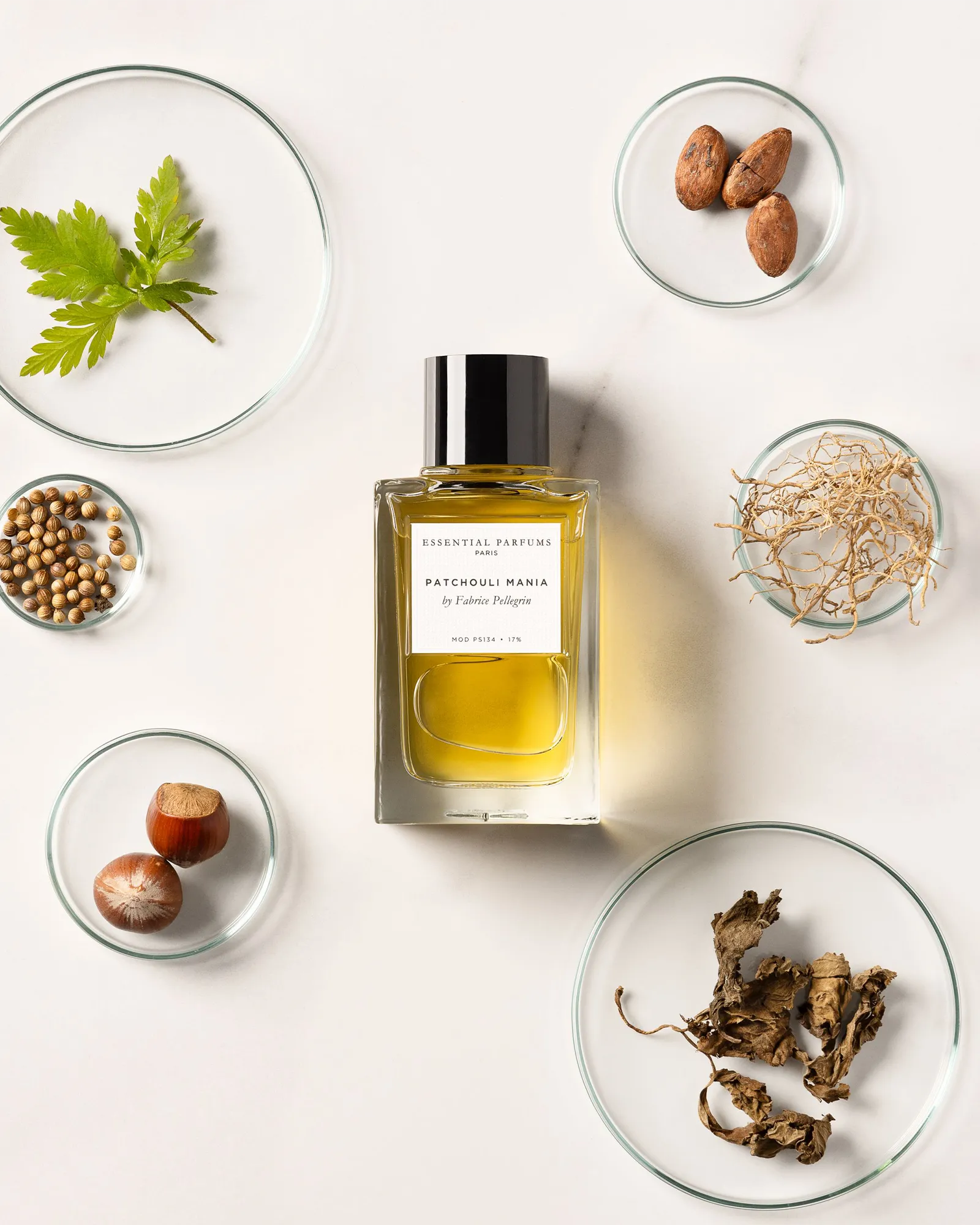 Patchouli Mania - Muchachos | Parfumerie de Niche & Parfums Rares - Sélection Exclusive
