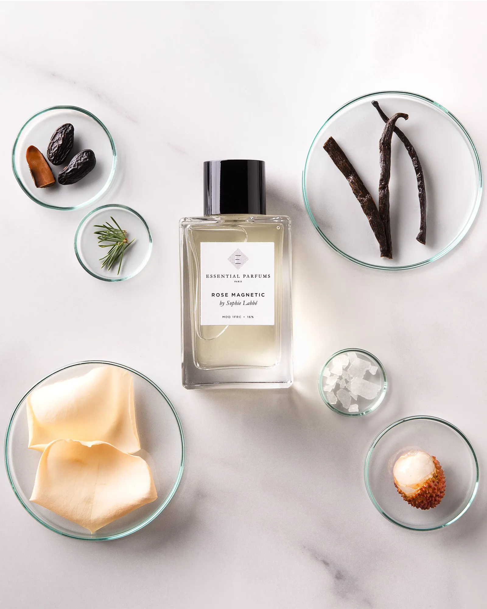 Rose Magnetic - Muchachos | Parfumerie de Niche & Parfums Rares - Sélection Exclusive