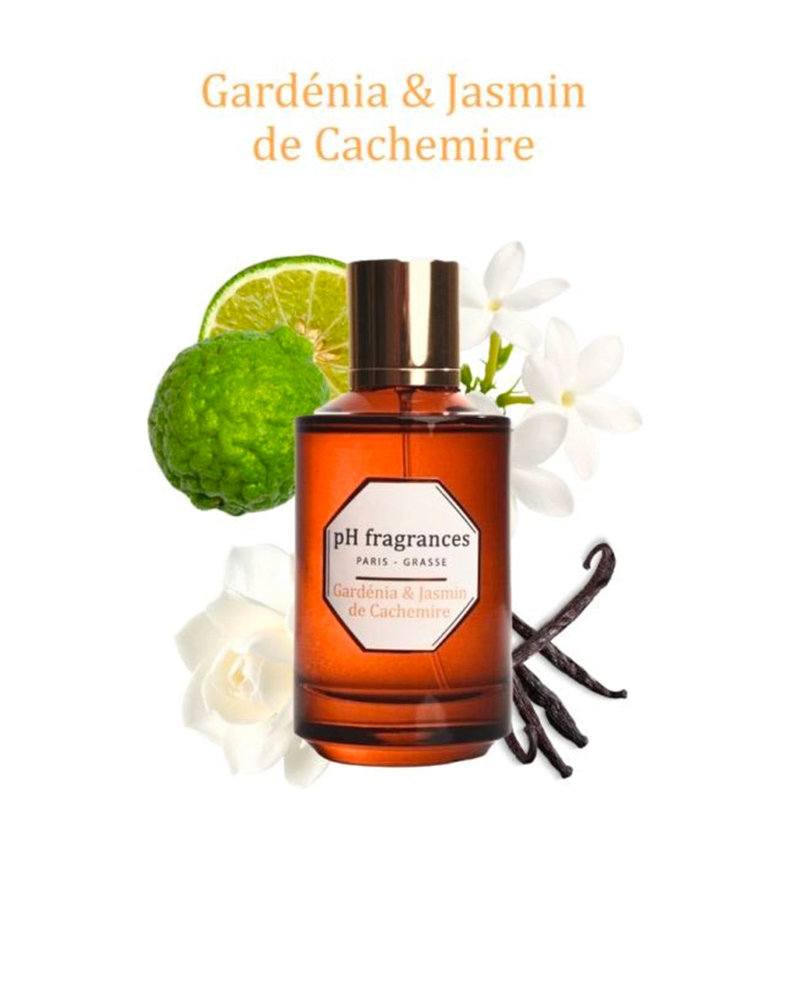 Gardénia & Jasmin de Cachemire