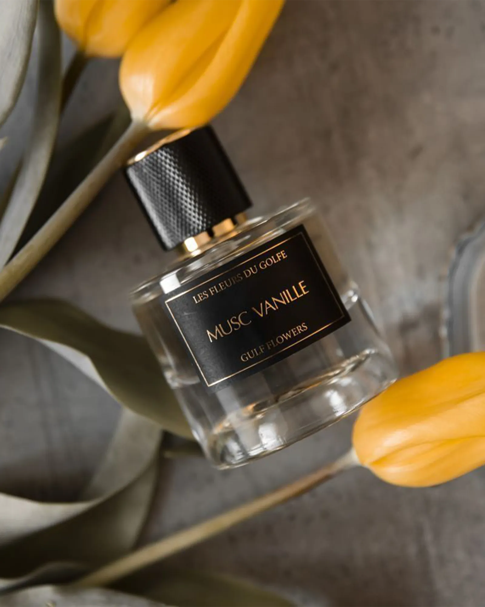 Musc Vanille - Muchachos | Parfumerie de Niche & Parfums Rares - Sélection Exclusive