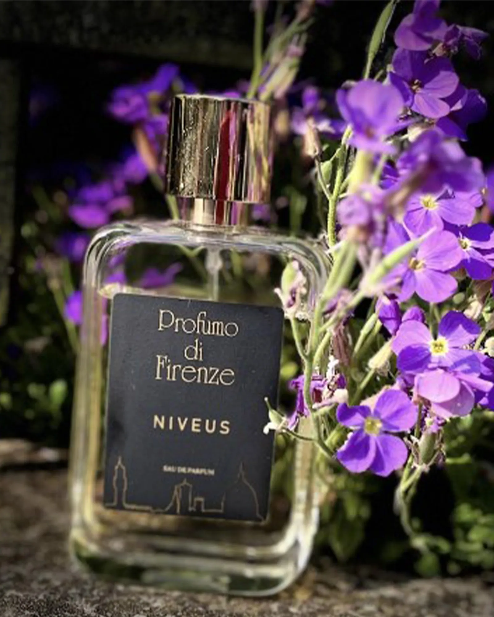 Niveus - Muchachos | Parfumerie de Niche & Parfums Rares - Sélection Exclusive