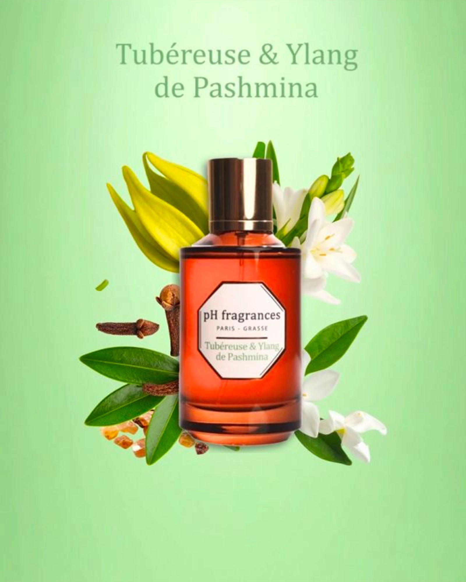 Tubéreuse & Ylang de Pashmina