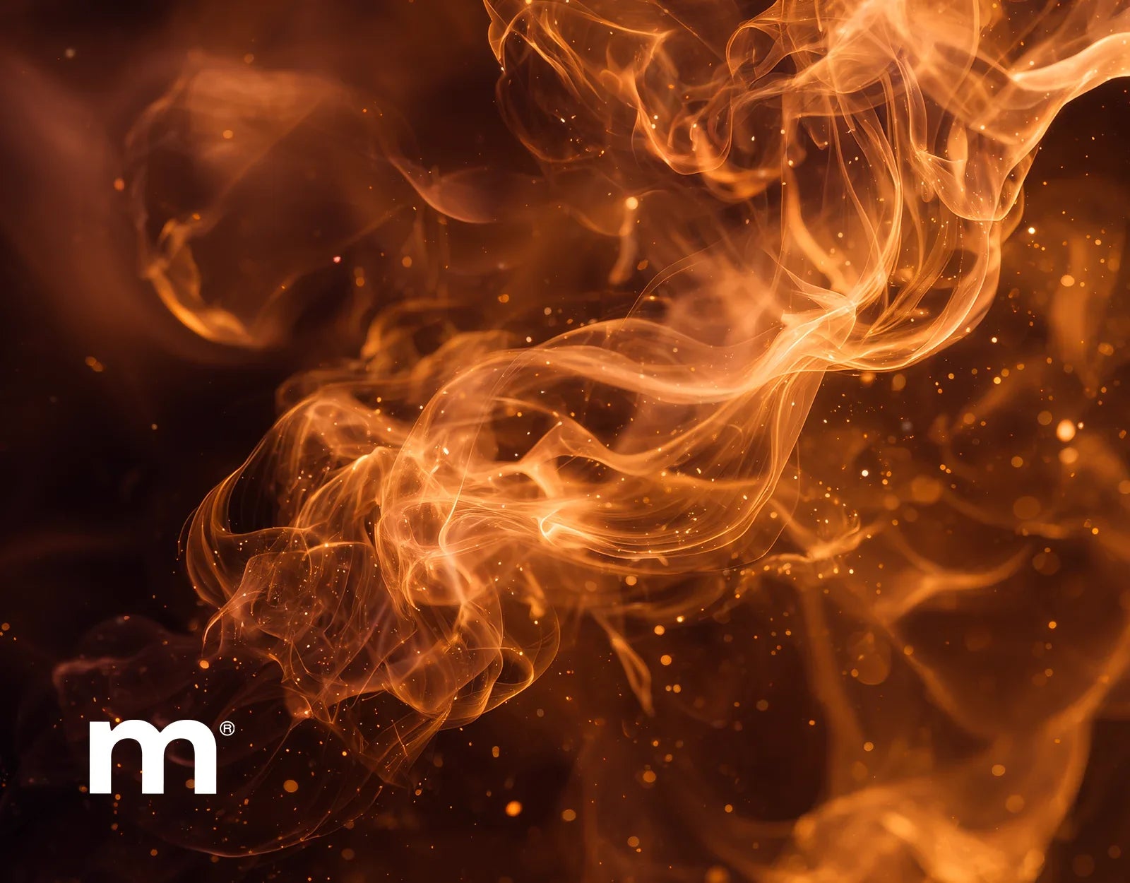 Sélection gourmande