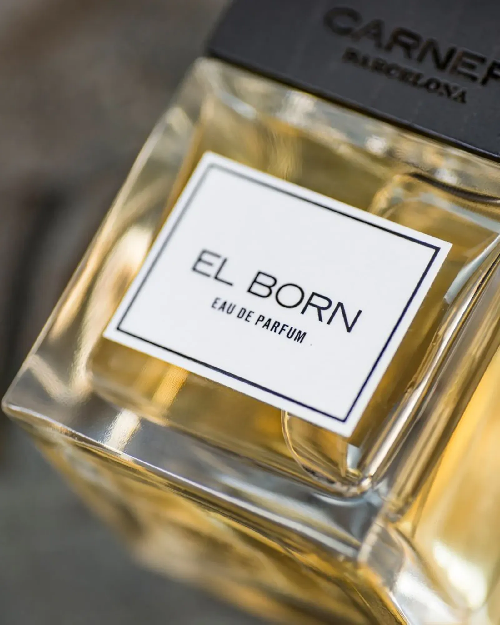 El Born - Muchachos | Parfumerie de Niche & Parfums Rares - Sélection Exclusive