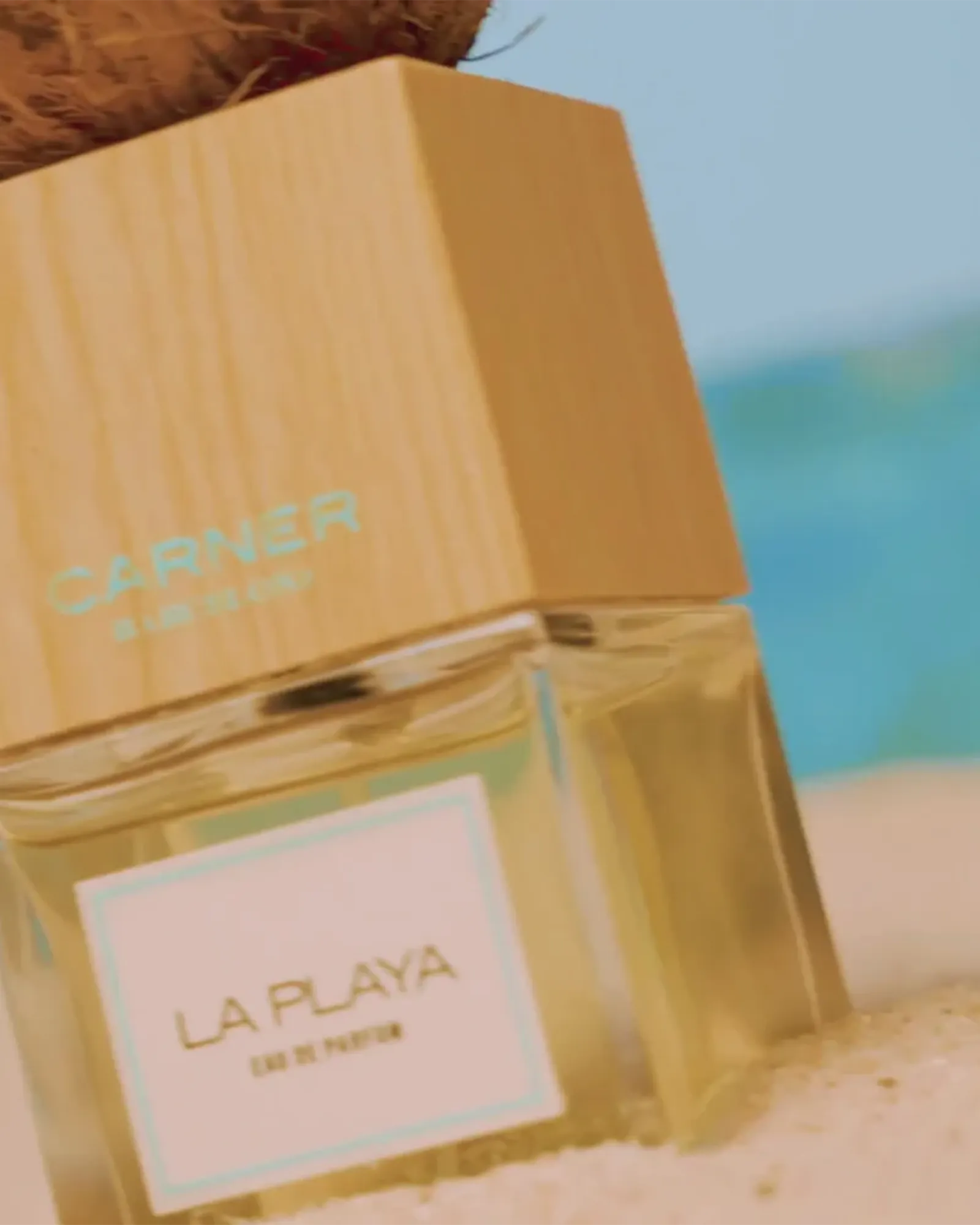 La Playa - Muchachos | Parfumerie de Niche & Parfums Rares - Sélection Exclusive