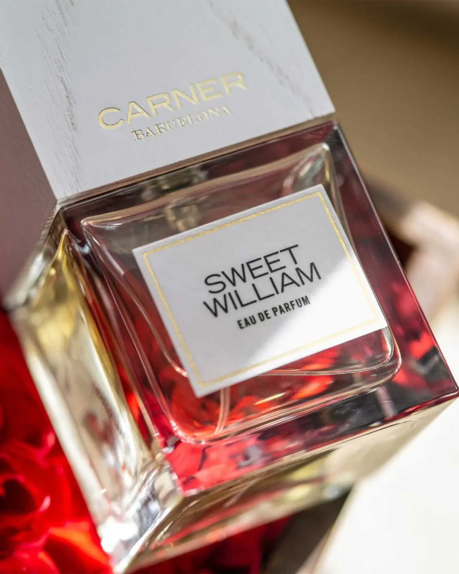 Sweet William - Muchachos | Parfumerie de Niche & Parfums Rares - Sélection Exclusive