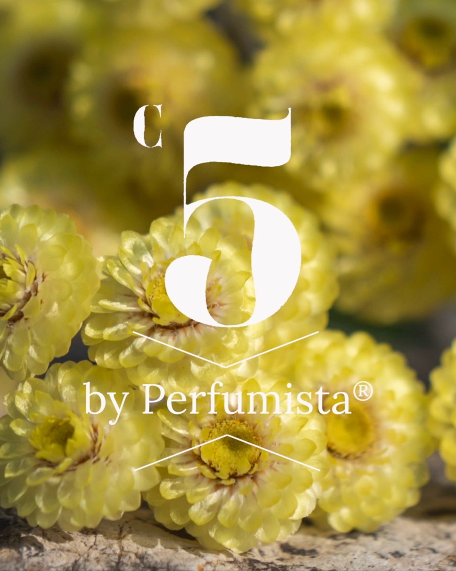 Cédrat Myrte Immortelle
