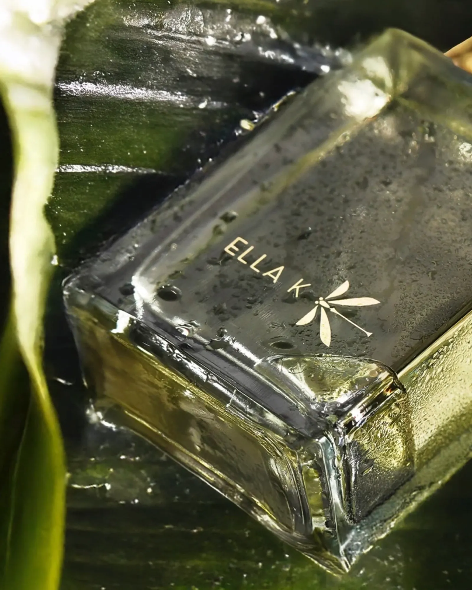 Pluie sur Ha Long - Muchachos | Parfumerie de Niche & Parfums Rares - Sélection Exclusive