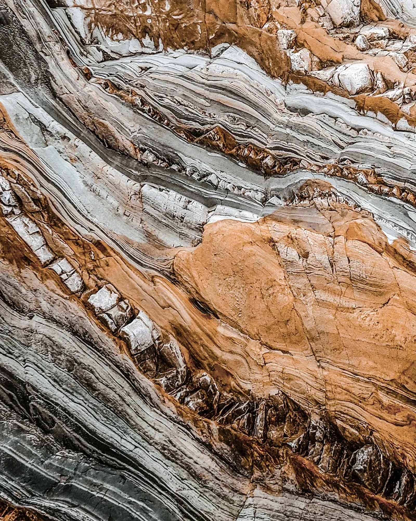 Mélodie de l’Altaï - Muchachos | Parfumerie de Niche & Parfums Rares - Sélection Exclusive