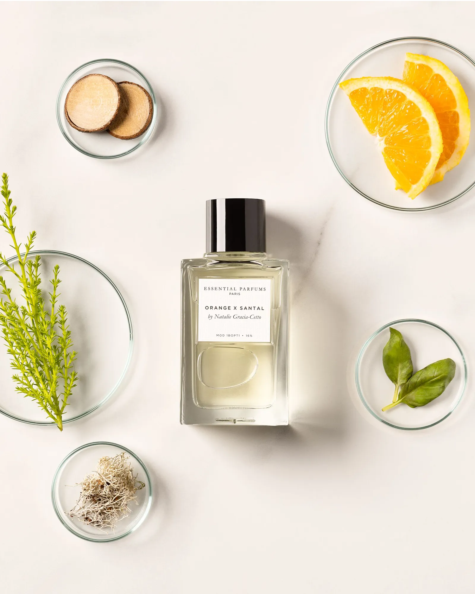 Orange & Santal - Muchachos | Parfumerie de Niche & Parfums Rares - Sélection Exclusive
