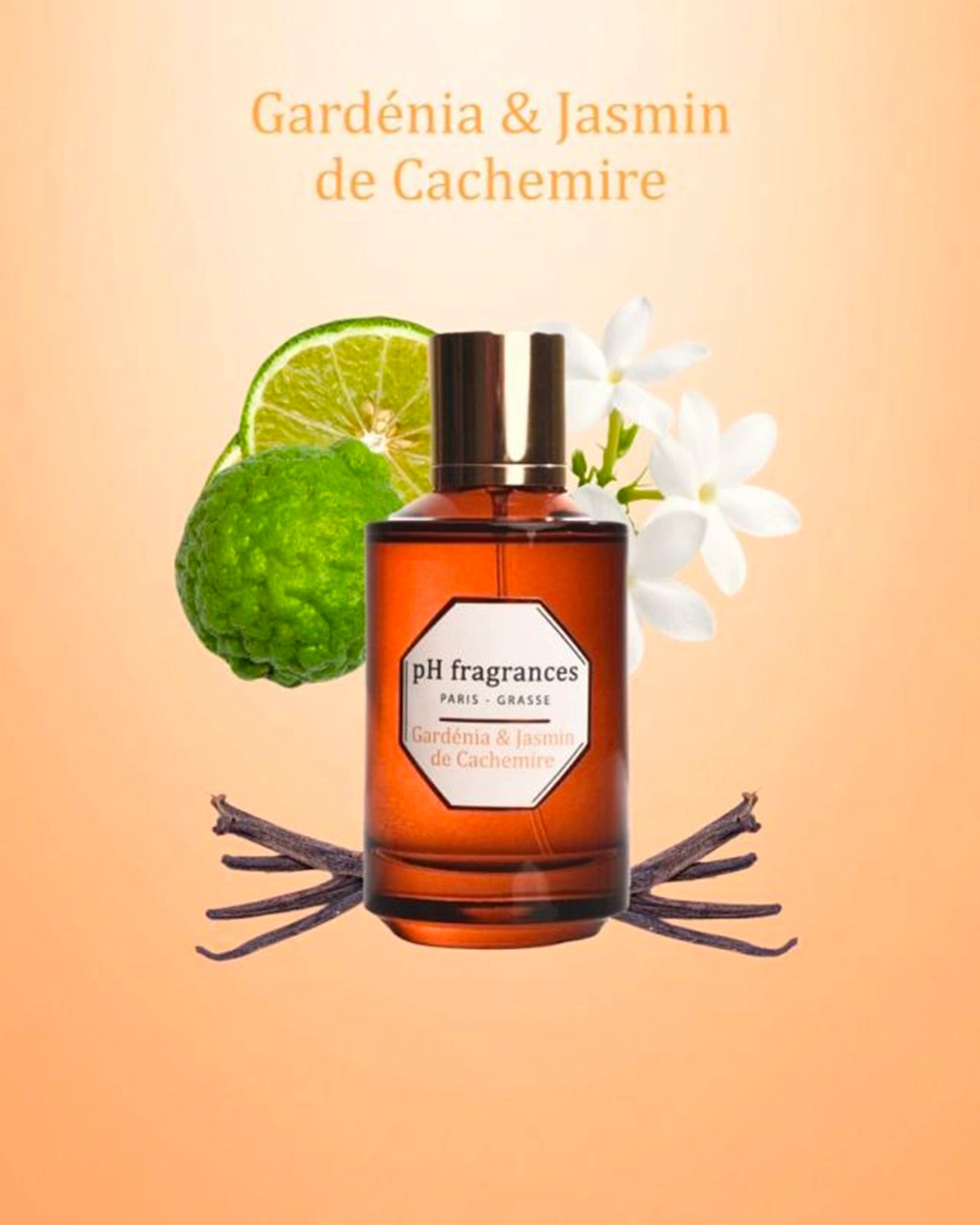 Gardénia & Jasmin de Cachemire