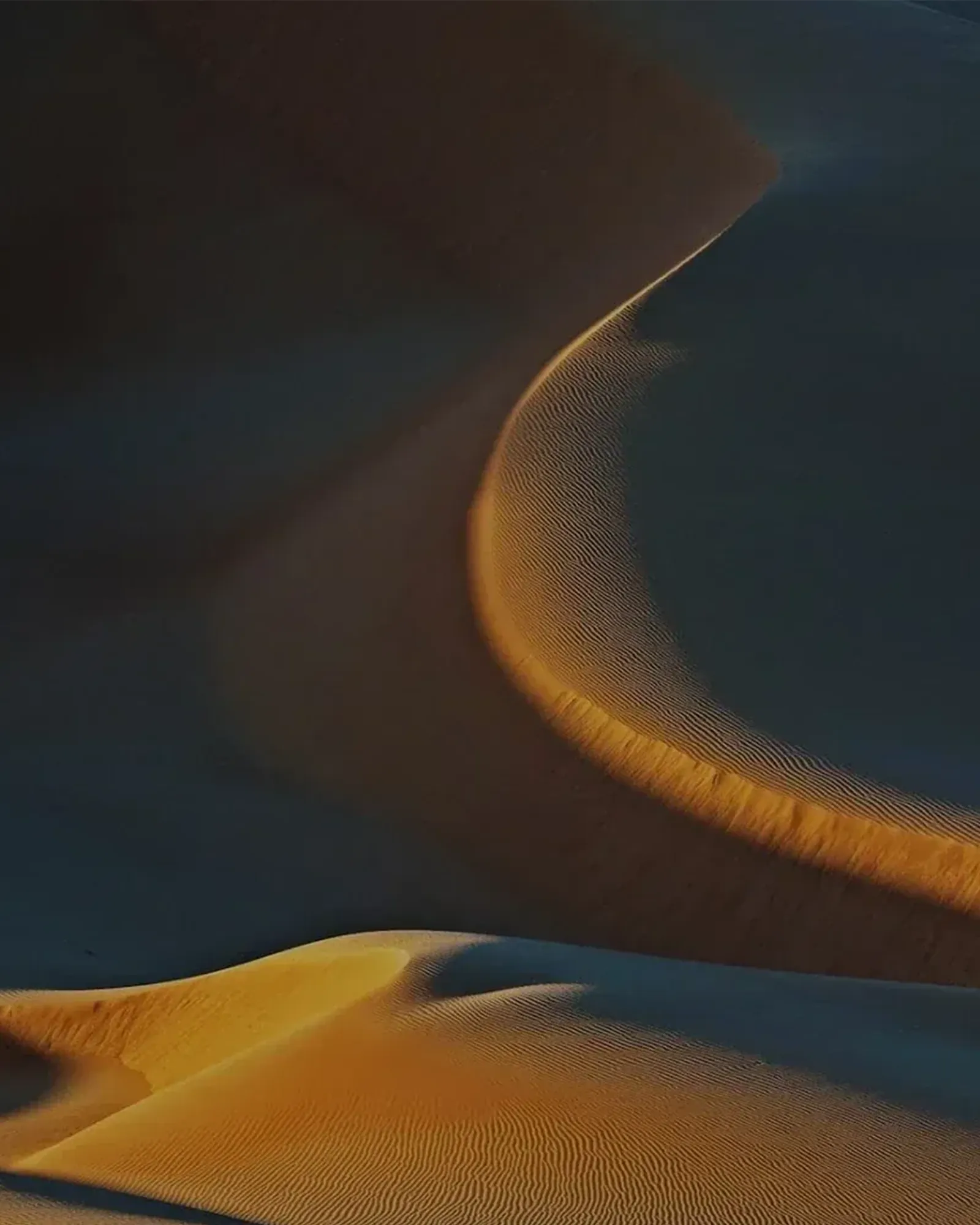 Buveur De Vent - Muchachos | Parfumerie de Niche & Parfums Rares - Sélection Exclusive