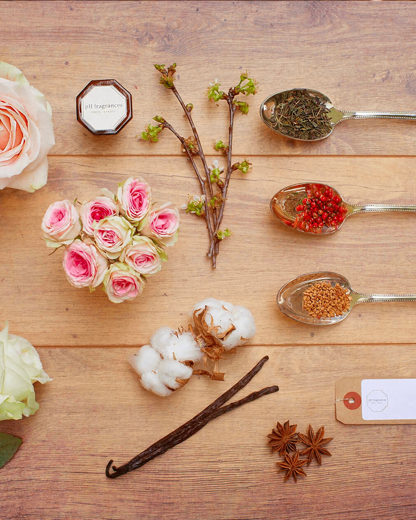 Magnolia & Pivoine de Soie