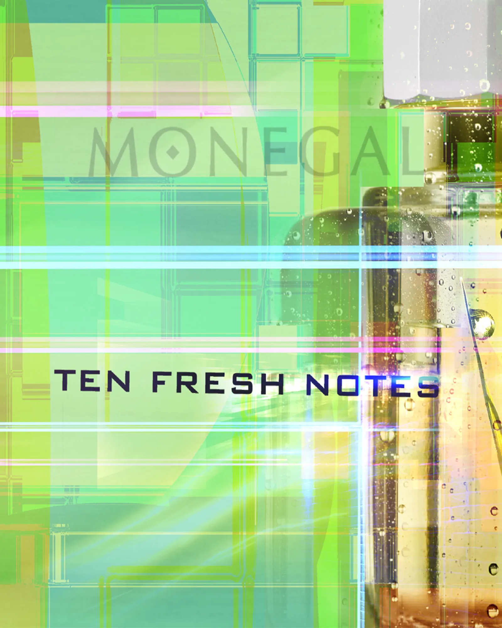 Ten Fresh Notes - Muchachos | Parfumerie de Niche & Parfums Rares - Sélection Exclusive