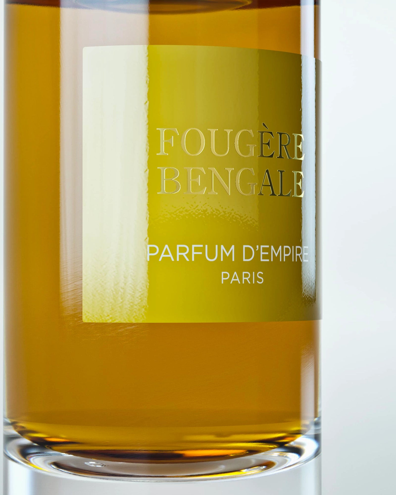 Fougère Bengale