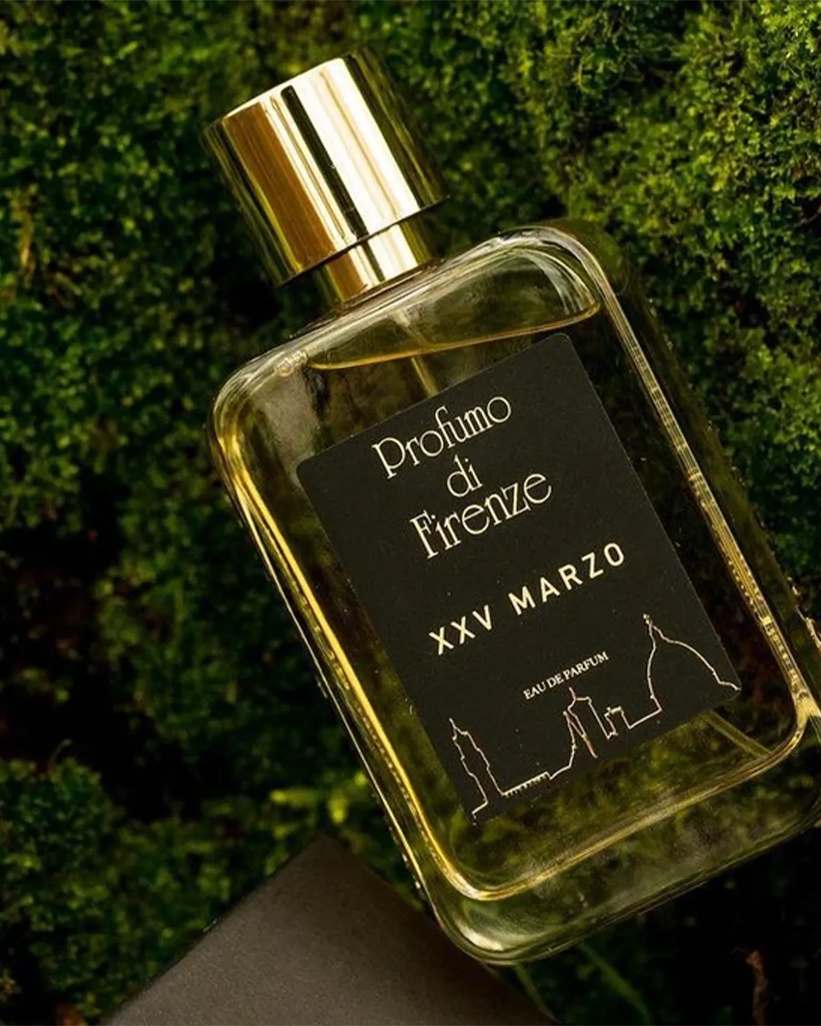 XXV Marzo - Muchachos | Parfumerie de Niche & Parfums Rares - Sélection Exclusive